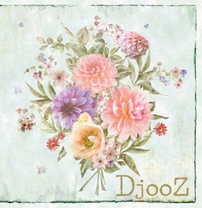 DJOOZ 2