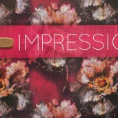 Murogro  Impression  2015