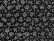 81120 Обои NUMA Hohenberger Германия вилюр