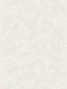 12027889 Обои HOME Ugepa Франция