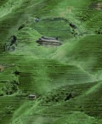 L 32904 Обои HOME Ugepa Франция