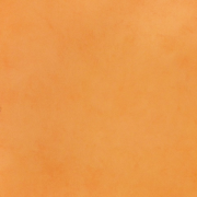 8699 ET Обои Free Style Ugepa Франция