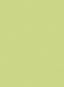 7352-07  Lotta Erisman Германия