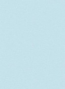 7352-43 Lotta Erisman Германия