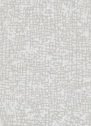 1763-01 Обои Cassiopeia Erismann Германия