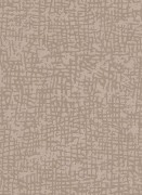 1763-02 Обои Cassiopeia Erismann Германия