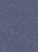 1763-08 Обои Cassiopeia Erismann Германия