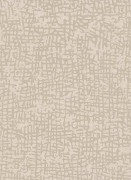 1763-14 Обои Cassiopeia Erismann Германия