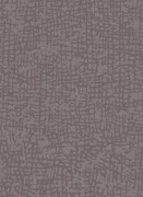 1763-37 Обои Cassiopeia Erismann Германия