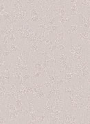 1774-38  Обои Cassiopeia Erismann Германия