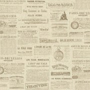 939002 Обои GLOBE Rasch Германия