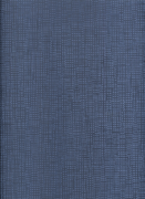 941012  Обои GLOBE Rasch Германия