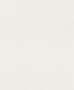 945614 Обои GLOBE Rasch Германия