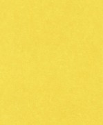 860177 обои Rasch коллекции B.B Home Passion VI Германия