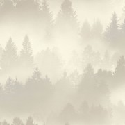 860825 обои Rasch коллекции B.B Home Passion VI Германия