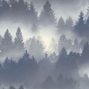 860832 обои Rasch коллекции B.B Home Passion VI Германия