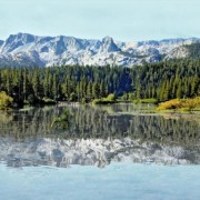 L 59501  Обои Ugepa коллекция Horizont Германия