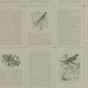 401622  обои Rasch коллекция Lazy Sunday II