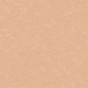 VV 1103 Обои IDECO-Grandeco коллекция Via Veneto