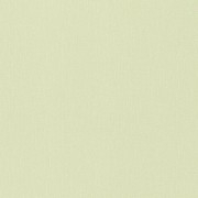 806014  обои Rasch коллекция New Wave 3