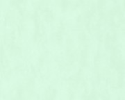 36299-5 обои AS Cration коллекции COZZ Германия