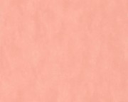 36299-7 обои AS Cration коллекции COZZ Германия