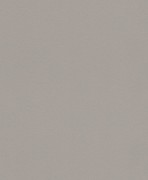 607734 обои Rasch коллекции Gypso 