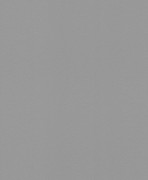 607741 обои Rasch коллекции Gypso 