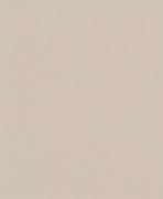 607796 обои Rasch коллекции Gypso 