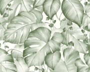 36627-2 обои AS Creation коллекция Colibri