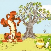 DF 42424 Обои Graham & Brown коллекции Kids & Home 5 Англия