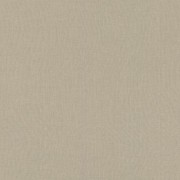 423921  обои  Rasch коллекция Poerty II