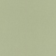 423938  обои  Rasch коллекция Poerty II