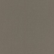 423990  обои  Rasch коллекция Poerty II