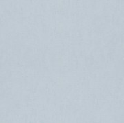 247442  обои  Rasch коллекция Bambino XVIII