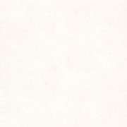 PAI 100221256 Шпалери Caselio  Patine Франция