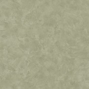 PAI 100227560 Обои Caselio  Patine Франция