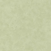 PAI 100227690 Обои Caselio  Patine Франция