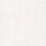 PAI 100229003 Обои Caselio  Patine Франция