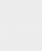 219750 Обои BN International Голландия коллекция FINESSE