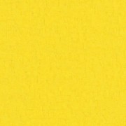 220077 обои  BN Intarnational коллекция Van Gogh2