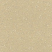 532456 обои Rasch коллекция TRIANON XII