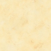 416992 обои Rasch коллекция Finca