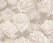 37402-3 обои AS Creation коллекция  New Studio 2.0