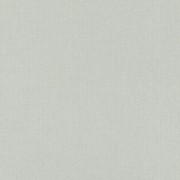 960792 обои  Rasch коллекция Maximum XVI