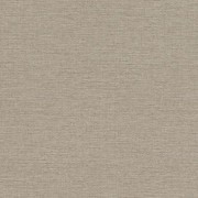 970647 обои Rasch коллекция Jolly