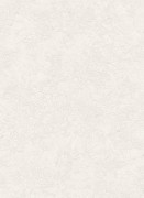 12156-26 обои Erismann коллекция Focus