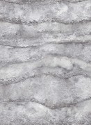 12153-47 обои Erismann коллекция Focus