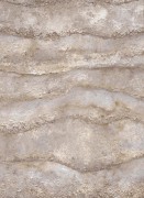 12153-32 обои Erismann коллекция Focus