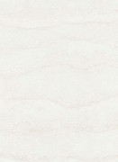 12153-14 обои Erismann коллекция Focus